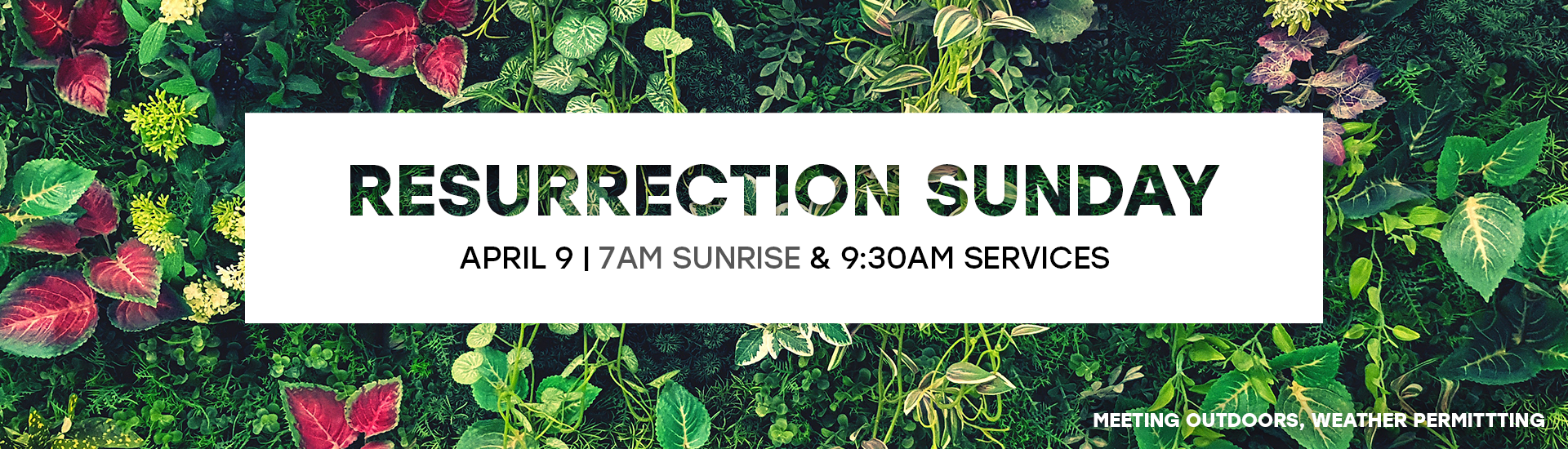 Resurrection-Sunday-23-Web.Ban-v1