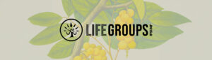 Life Groups